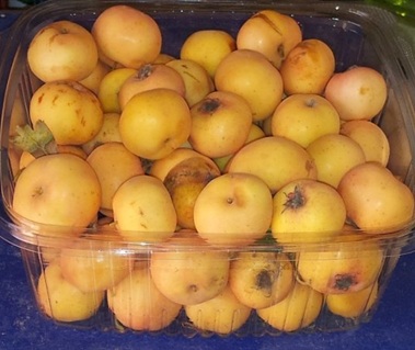 Боярышник белый упакованный