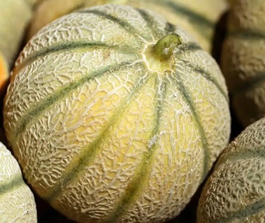 Канталоп Манйас